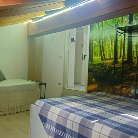 Apartment Kasa 300 *